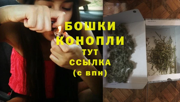 прущие крисы Пестово
