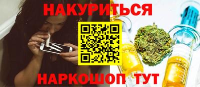 дмт Аргун