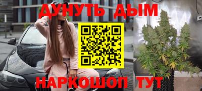 дмт Аргун