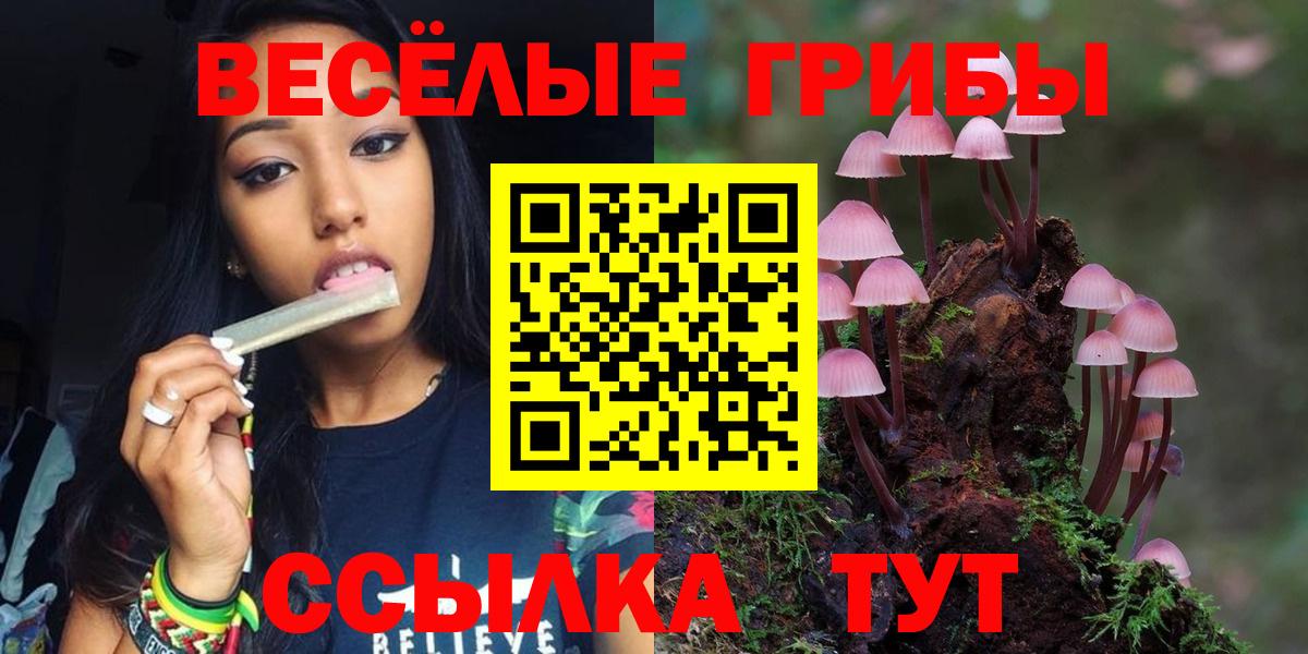 Галлюциногенные грибы ЛСД  Вход с VPN  Курчалой 