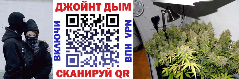 Бошки марихуана SATIVA & INDICA  mega как войти  Курчалой 